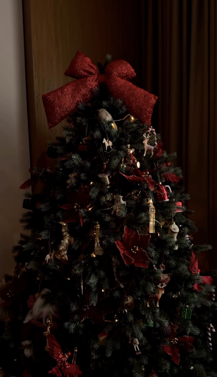 Як Дорофєєва, Усики та інші українські зірки вбрали свої ялинки